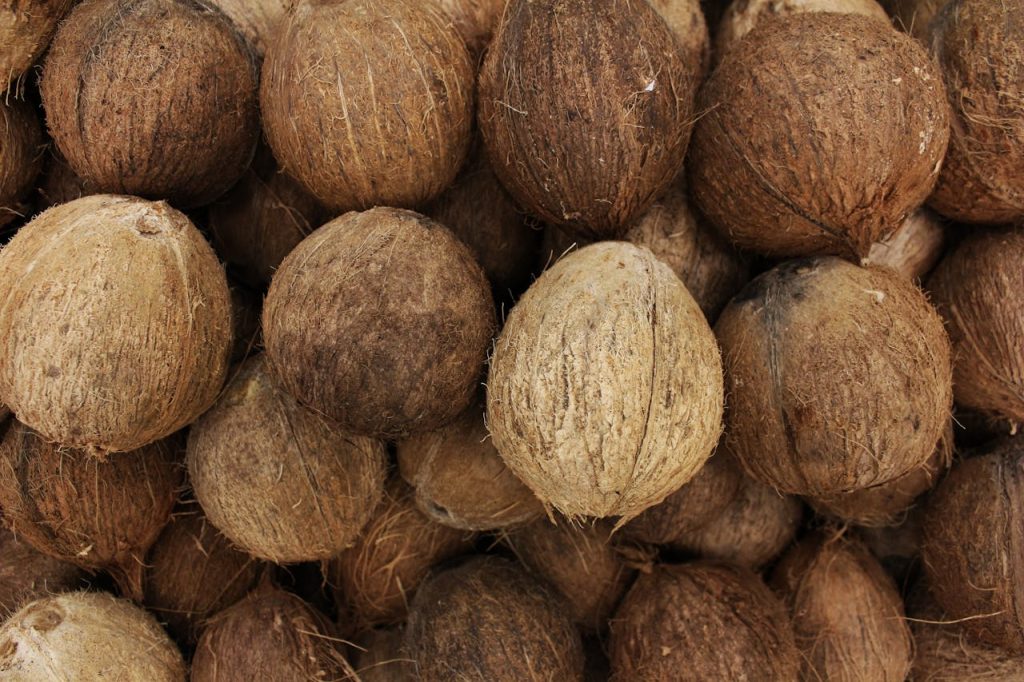 Close-up view of a pile of whole, organic coconuts showcasing their rough, brown shells.